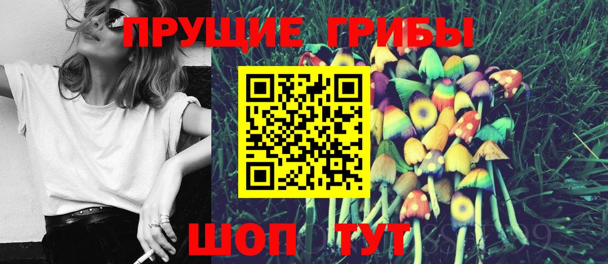 Сорочинск  Псилоцибиновые грибы Cubensis  Вход с VPN 